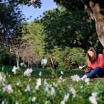 Photo RSS Reader Comparison